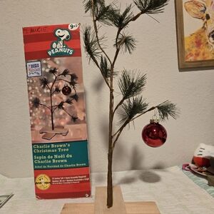 Products Works Charlie Brown Christmas With Box.